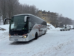 BUS SETRA 52 POSTI - S 515
